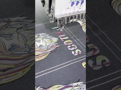 Επιθέματα σιδερώματος κεντήματος σε τσάντα που πλένονται Χρώματα PMS Προσαρμόσιμα